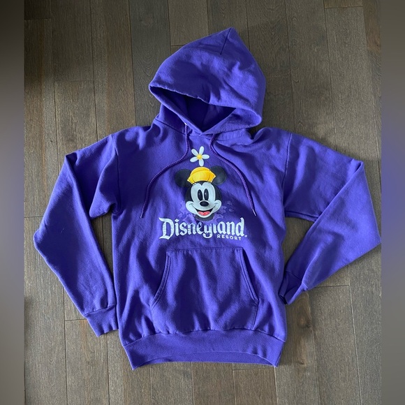 Purple Disneyland‎ Resort Hoodie - Picture 1 of 4